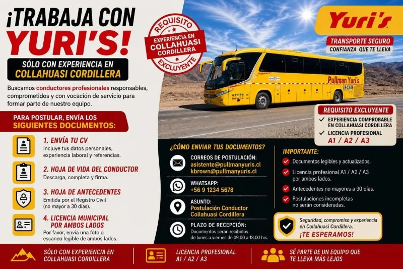 Conductor Profesional para Collahuasi Cordillera - imagen 1