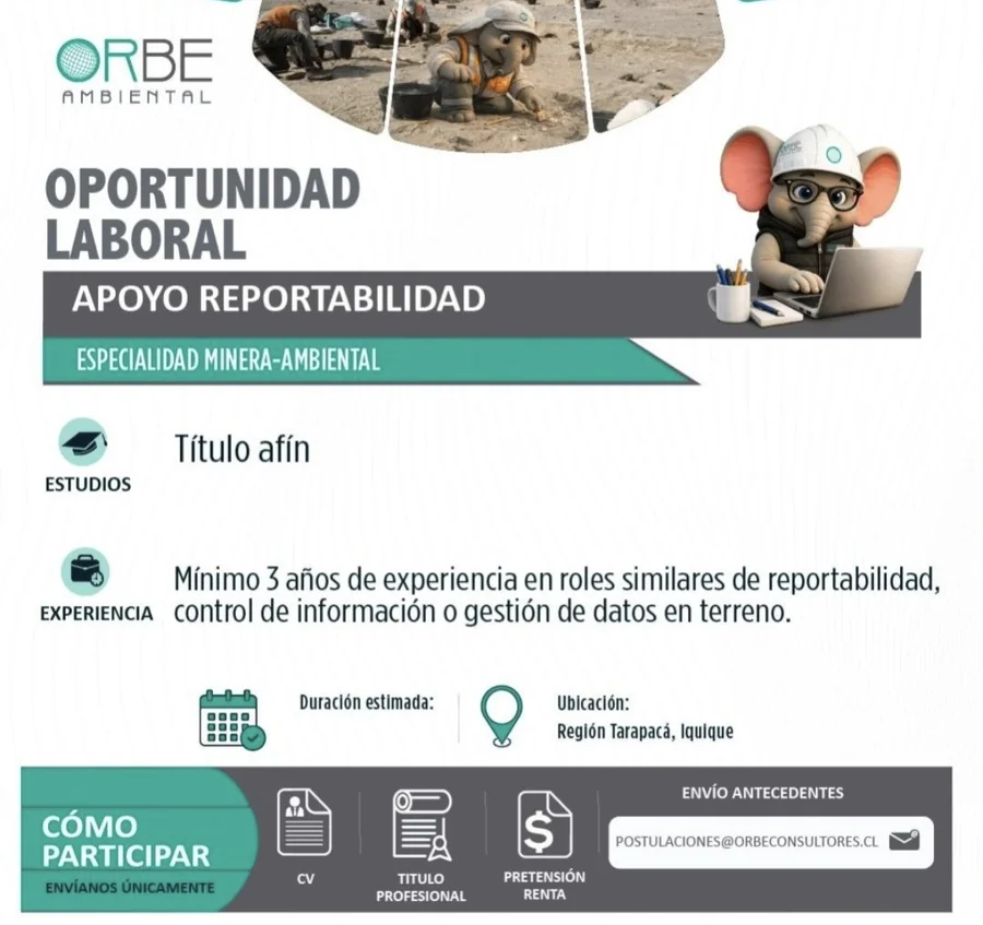 Apoyo Reportabilidad Minera Ambiental - imagen 1