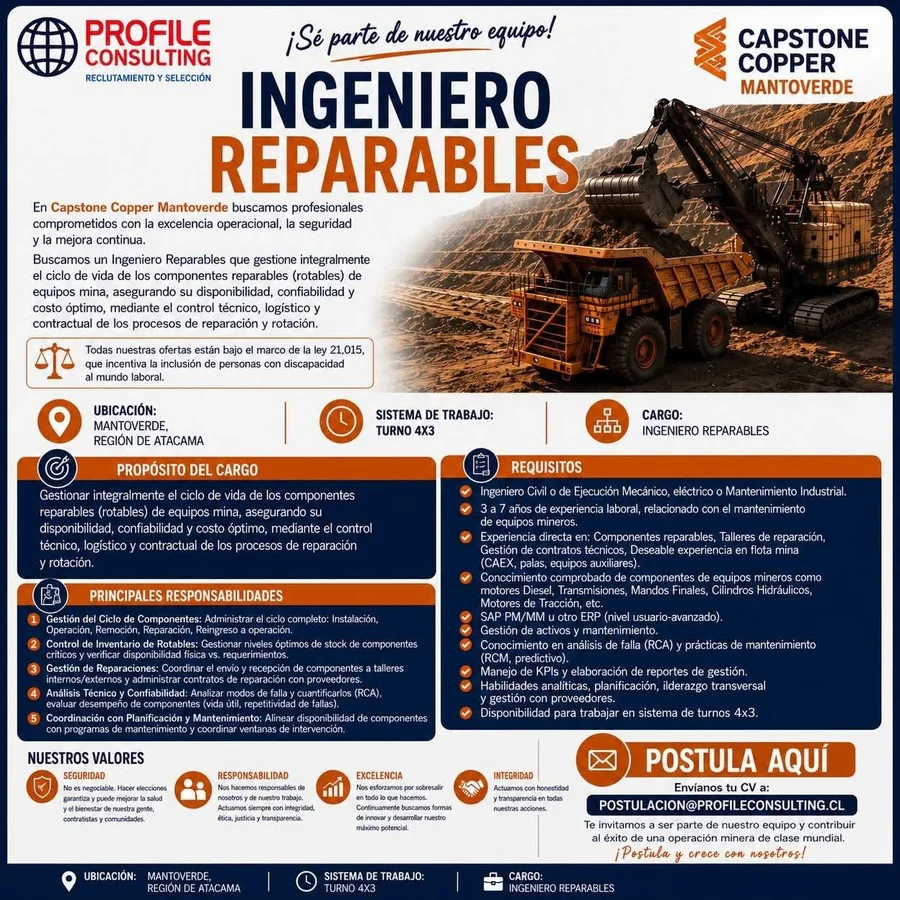 Ingeniero Reparables - imagen 1