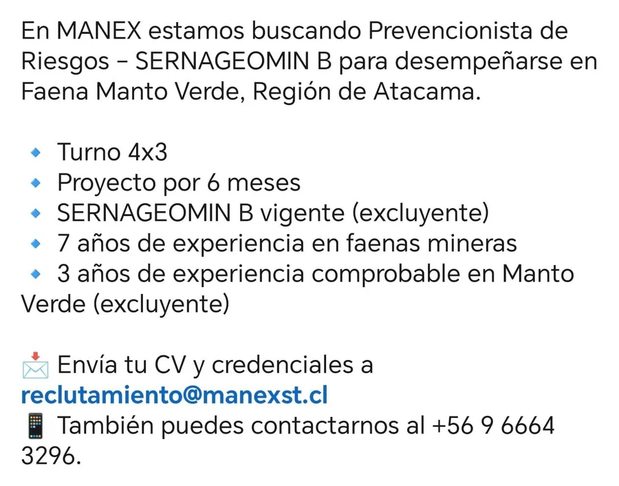 Prevencionista de Riesgos - SERNAGEOMIN B - imagen 1