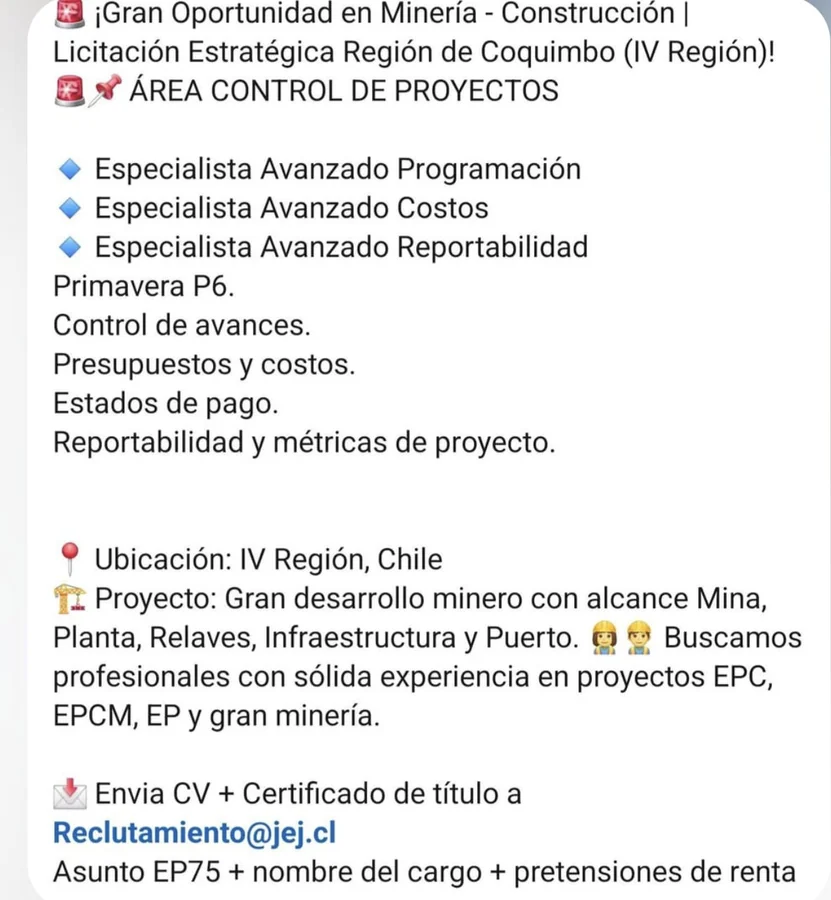 Especialista Avanzado en Control de Proyectos - imagen 1