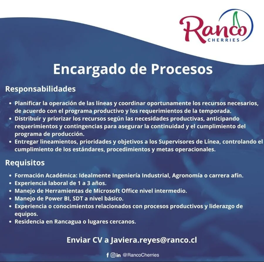 Encargado de Procesos - imagen 1
