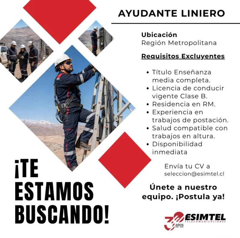 Ayudante Liniero - imagen 1