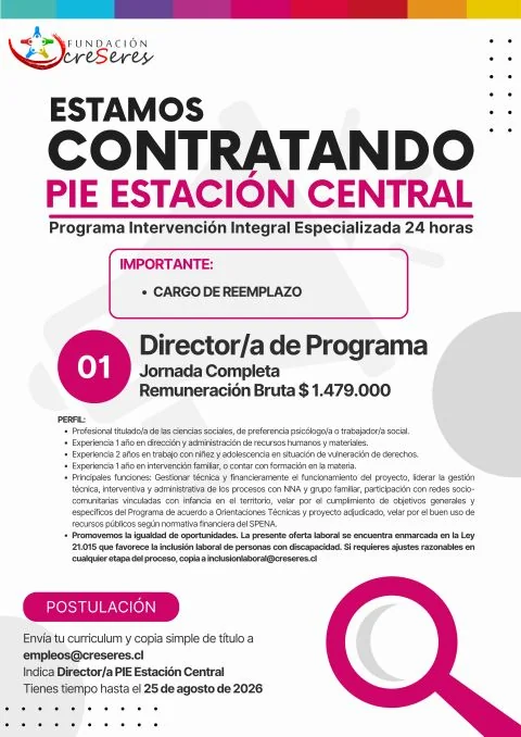 Director de Programa PIE Estación Central - imagen 1