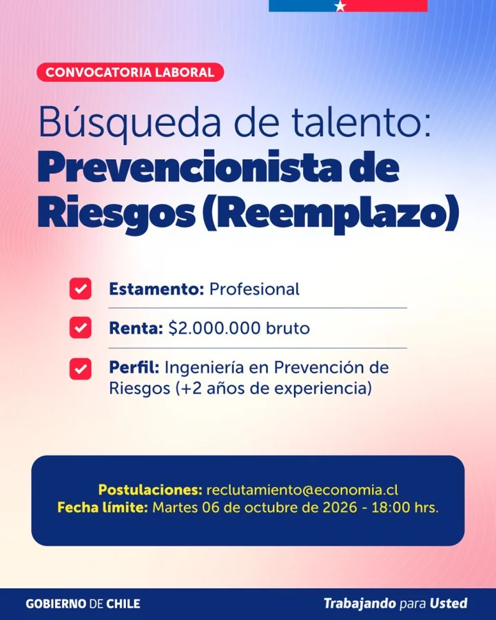 Prevencionista de Riesgos (Reemplazo) - imagen 1