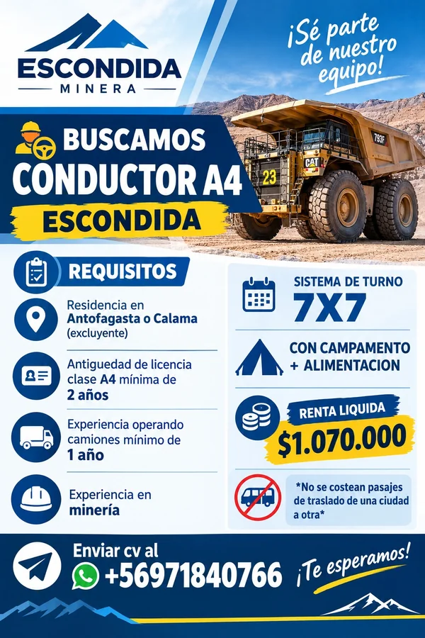 Conductor A4 - imagen 1