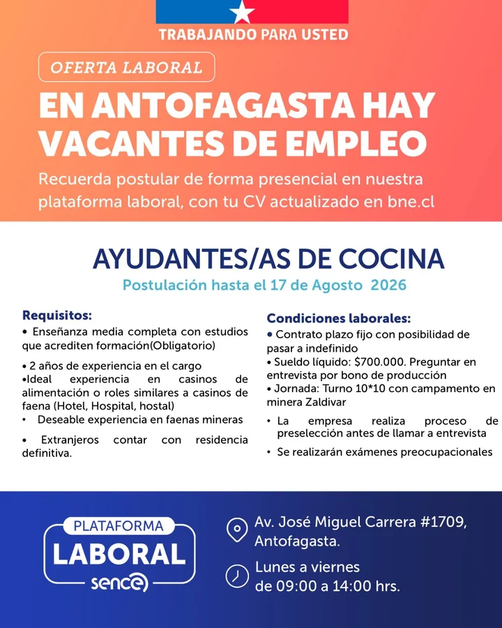 Ayudante de Cocina - imagen 1