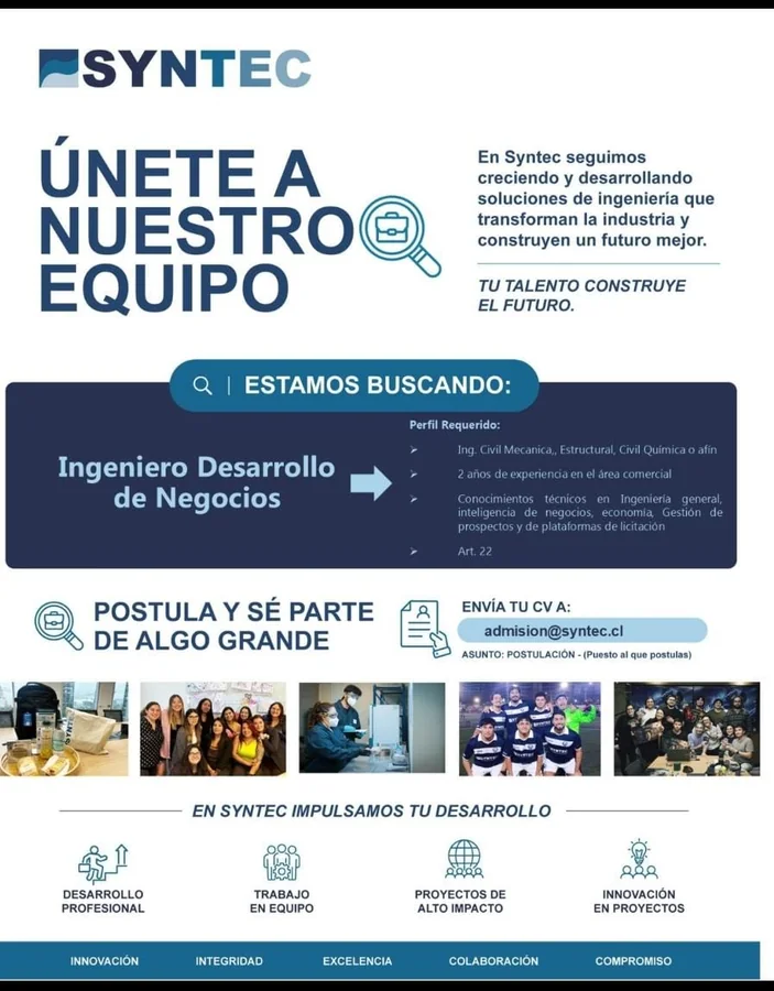Ingeniero de Desarrollo de Negocios - imagen 1