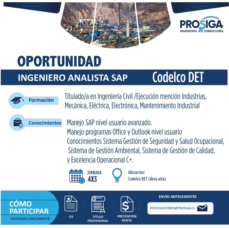 Ingeniero Analista SAP - imagen 1