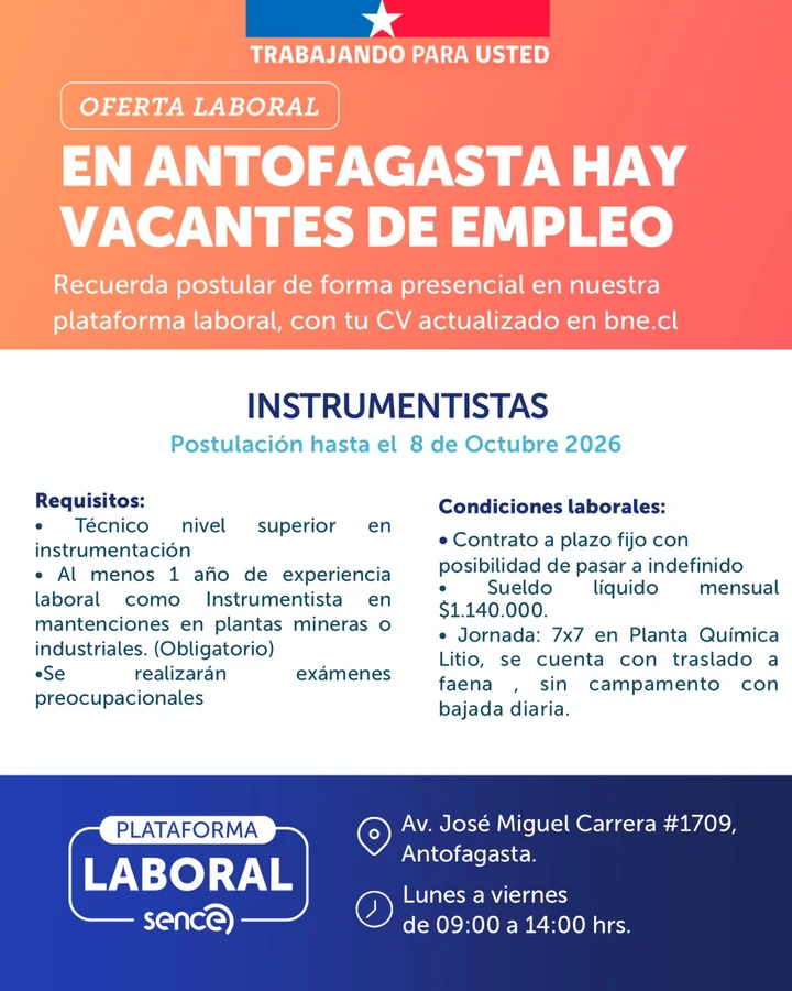 Instrumentista - imagen 1