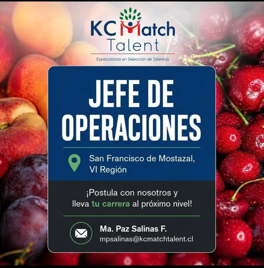 Jefe de Operaciones - imagen 1