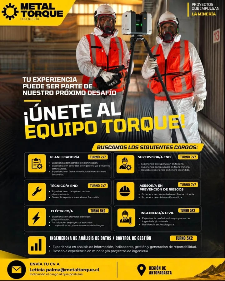 Múltiples Cargos Minería e Ingeniería - imagen 1