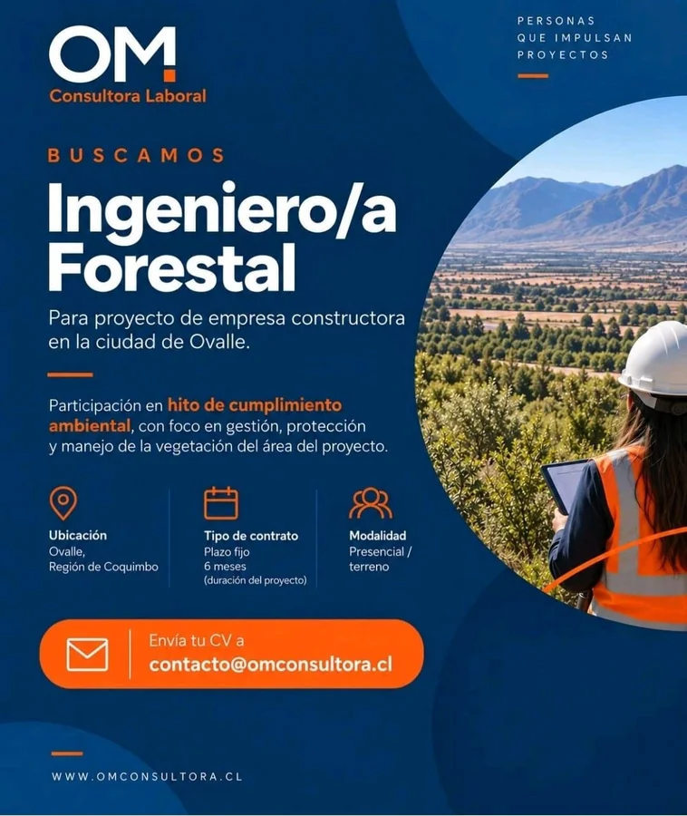 Ingeniero/a Forestal - imagen 1