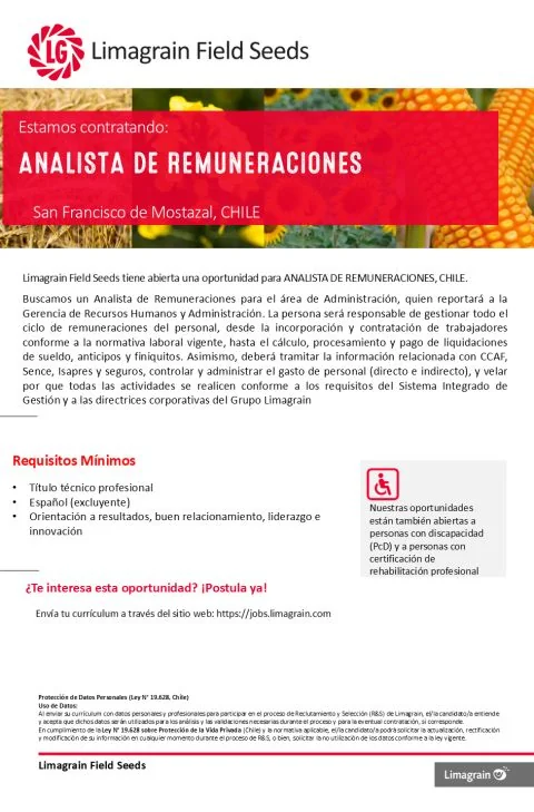 Analista de Remuneraciones - imagen 1