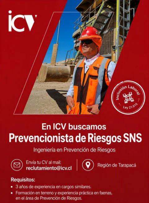 Prevencionista de Riesgos SNS - imagen 1