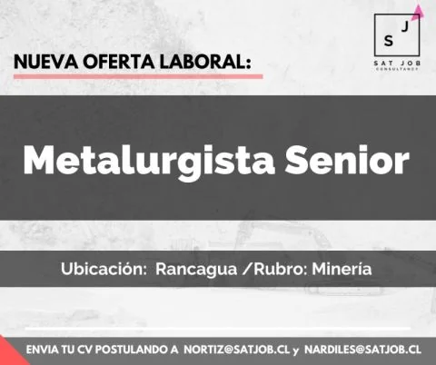 Metalurgista Senior - imagen 1