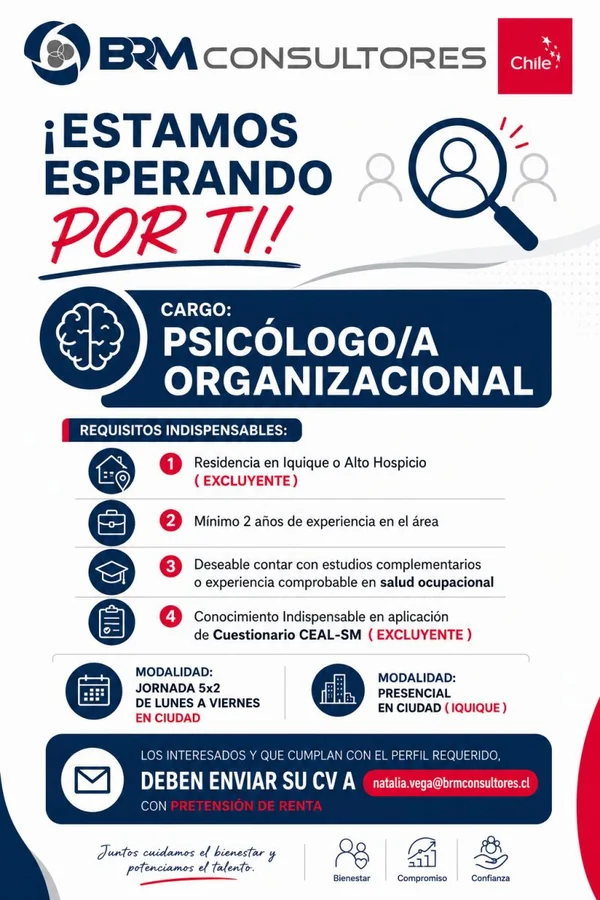 Psicólogo/a Organizacional - imagen 1