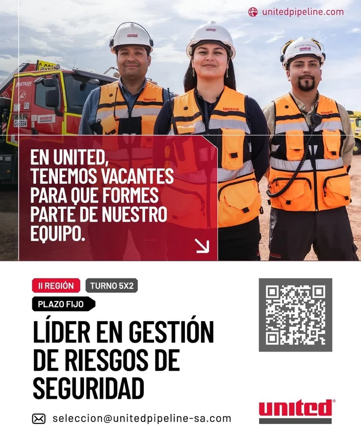 Líder en Gestión de Riesgos de Seguridad - imagen 1