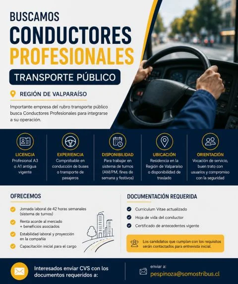 Conductores profesionales transporte público - imagen 1