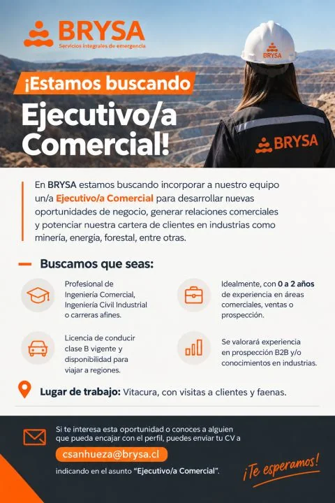 Ejecutivo/a Comercial - imagen 1