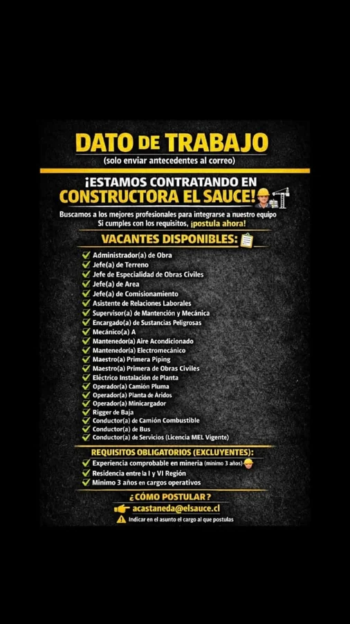Múltiples cargos para faena minera - imagen 1