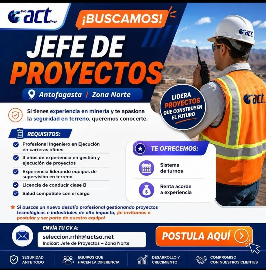 Jefe de Proyectos - imagen 1