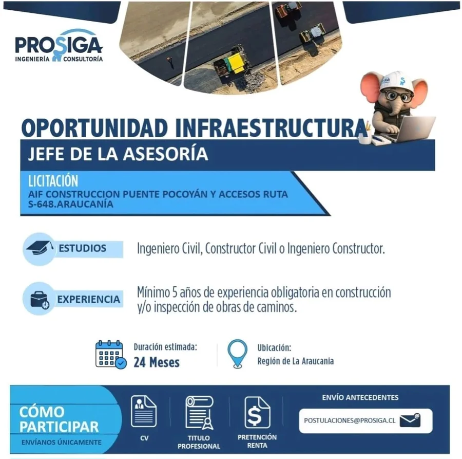 Jefe de Asesoría AIF Construcción Puente Pocoyán - imagen 1
