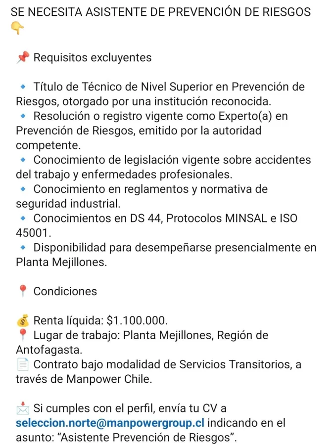 Asistente de Prevención de Riesgos - imagen 1