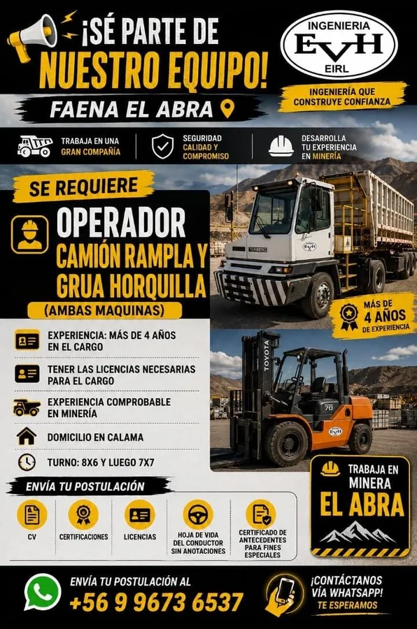 Operador de camión rampla y grúa horquilla - imagen 1