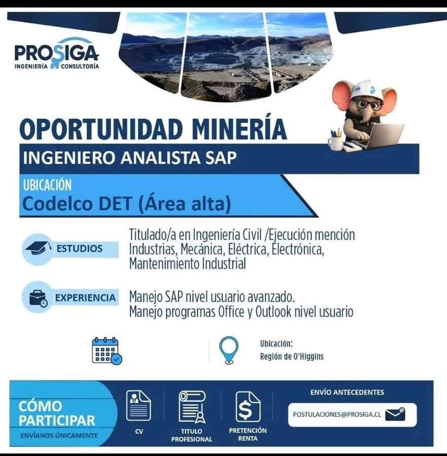 Ingeniero Analista SAP - imagen 1