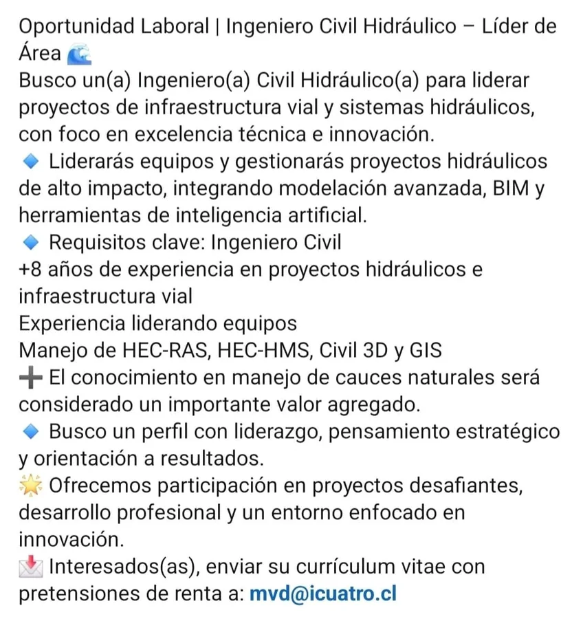 Ingeniero Civil Hidráulico - Líder de Área - imagen 1