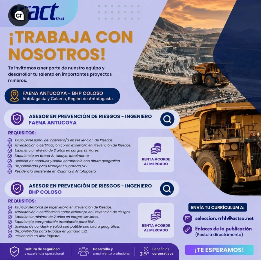 Asesor en Prevención de Riesgos - imagen 1