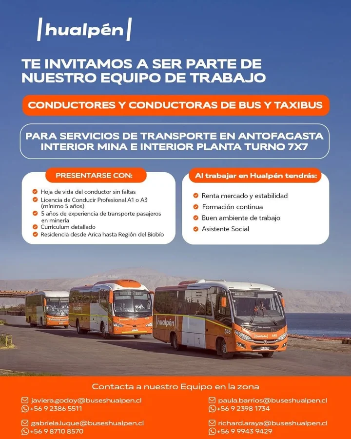 Conductores de bus y taxibús - imagen 1