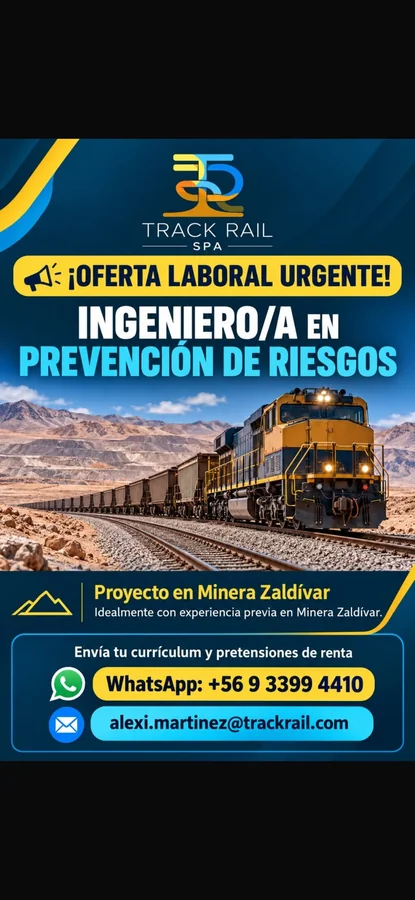 Ingeniero/a en Prevención de Riesgos - imagen 1