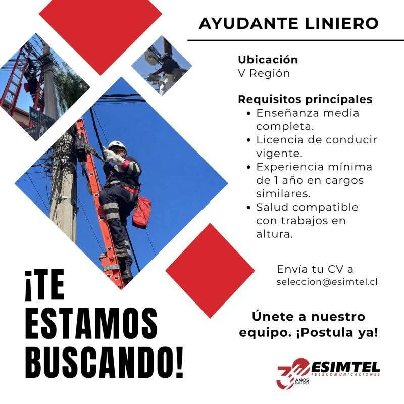 Ayudante Liniero - imagen 1