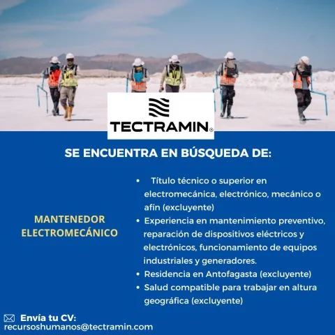 Mantenedor electromecánico - imagen 1