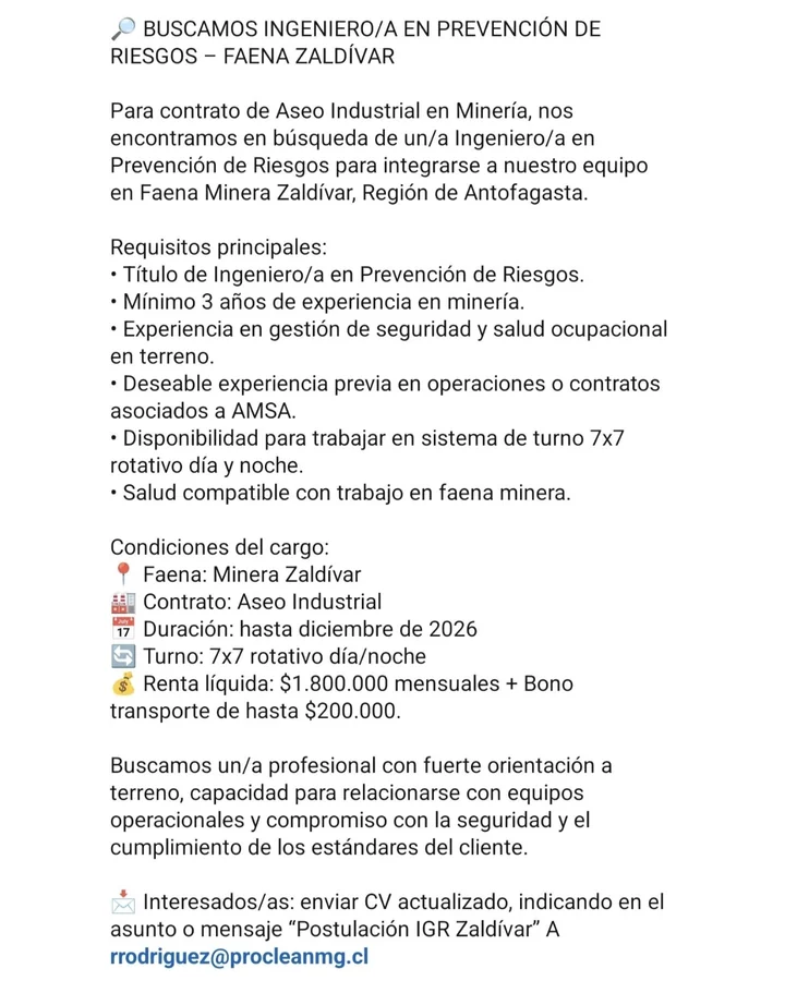Ingeniero en Prevención de Riesgos - imagen 1