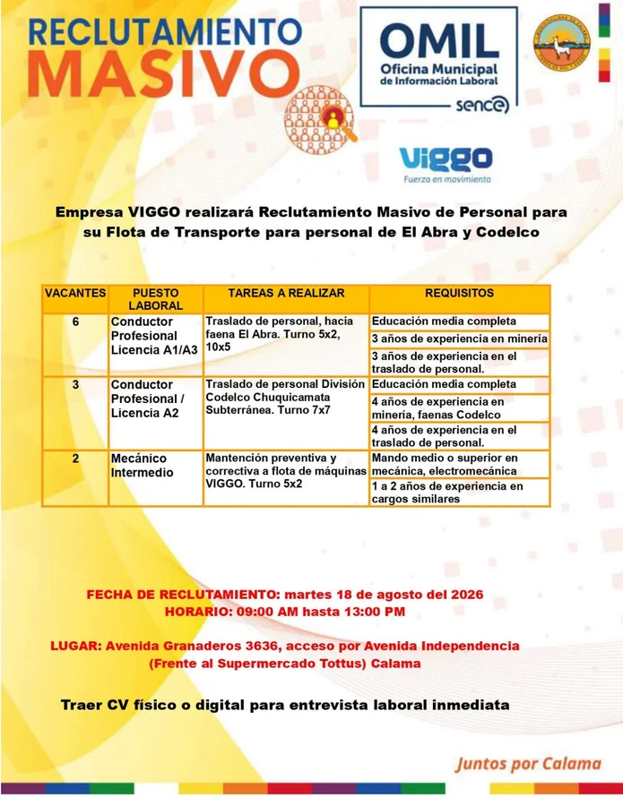 Conductores profesionales y mecánicos para faena minera - imagen 1