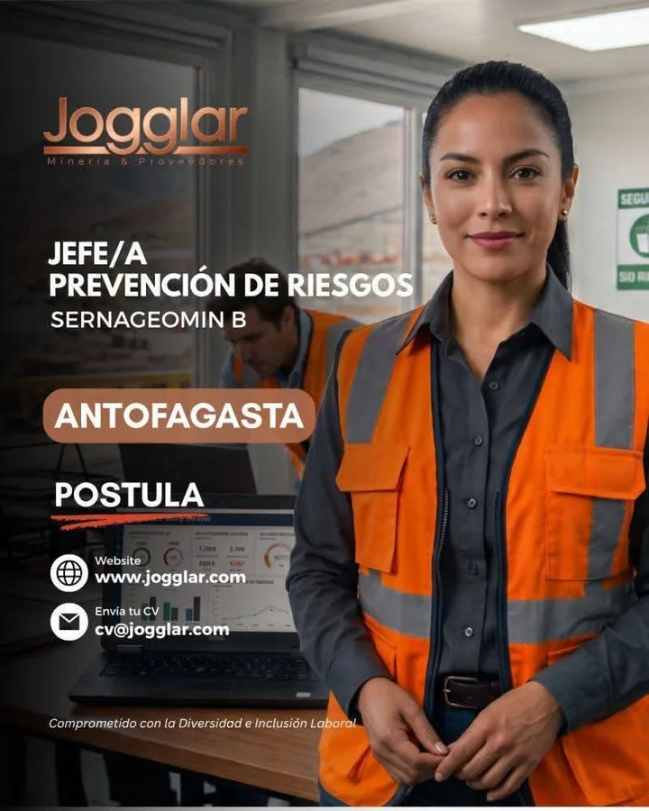 Jefe/a Prevención de Riesgos Sernageomin B - imagen 1