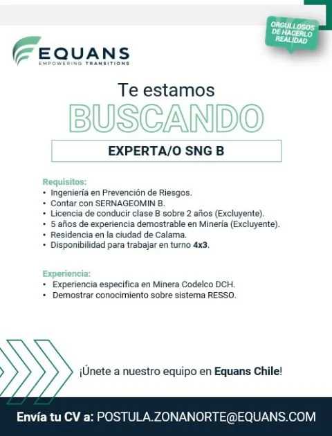 Experto/a en Prevención de Riesgos Sernageomin B - imagen 1