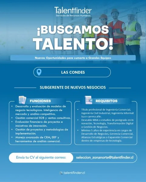 Subgerente de Nuevos Negocios - imagen 1