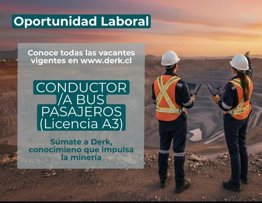 Conductor de Bus Pasajeros - imagen 1