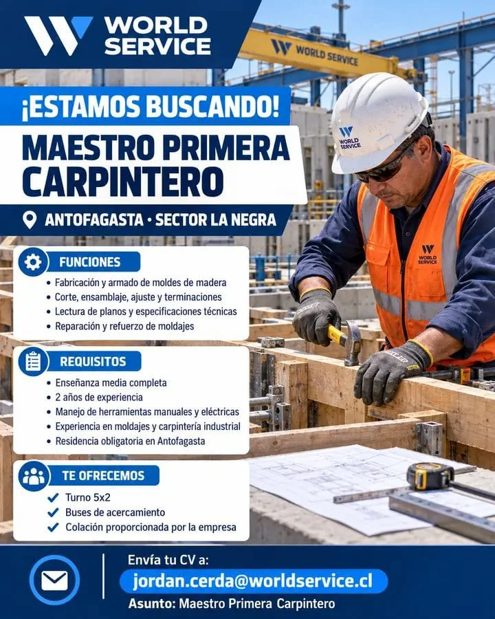Maestro Primera Carpintero - imagen 1