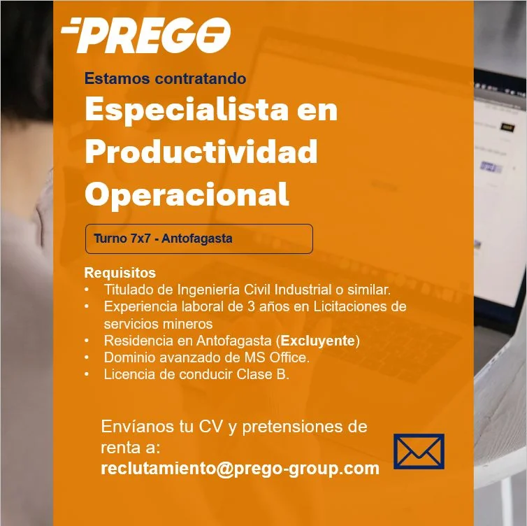 Especialista en Productividad Operacional - imagen 1