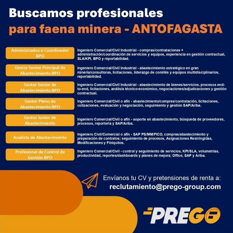Profesionales de Abastecimiento para Minería - imagen 1