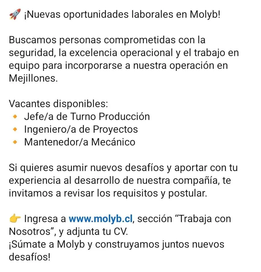 Vacantes en Molyb: Jefe de Turno, Ingeniero y Mantenedor - imagen 1