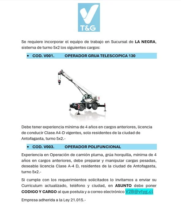 Operadores de Grúa Telescópica y Polifuncional - imagen 1