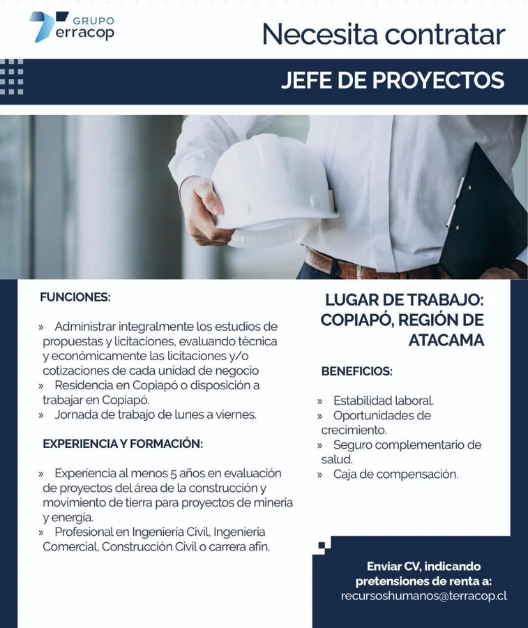 Jefe de Proyectos - imagen 1