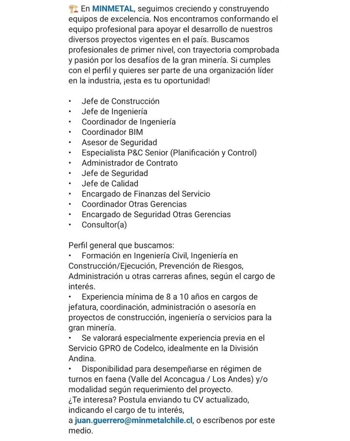 Profesionales para Proyectos Mineros - imagen 1