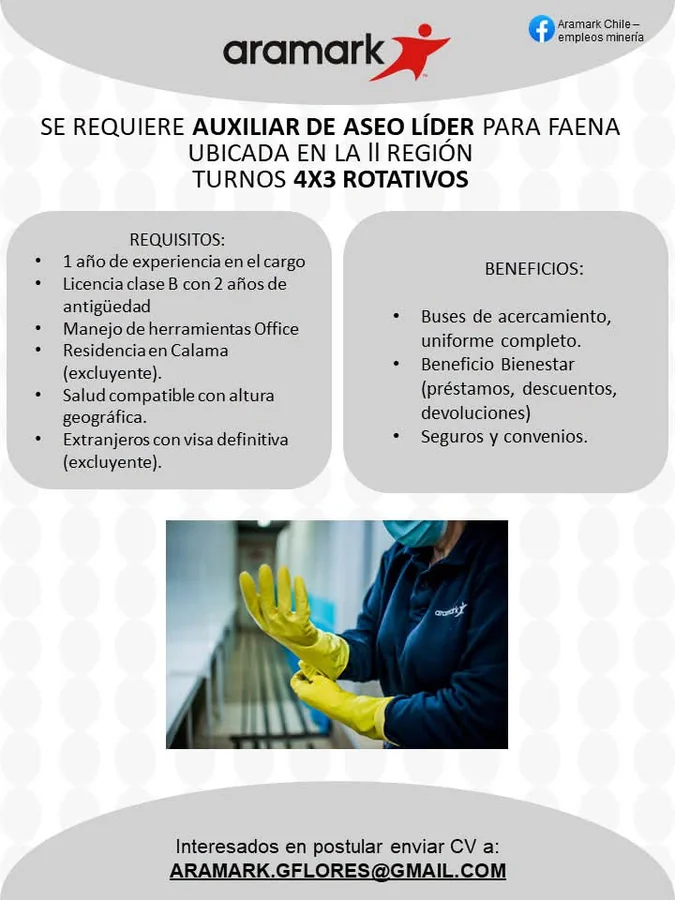Auxiliar de aseo líder para faena - imagen 1
